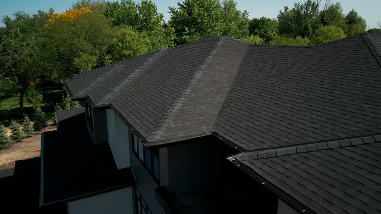 Best Solar Panel Roofing Installation  in Allen, TX