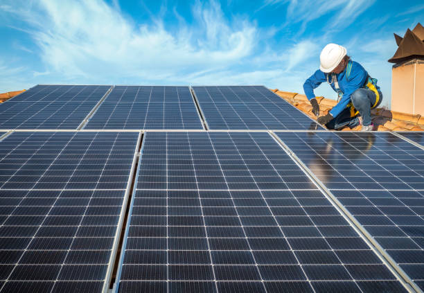 Best Roof Moss and Algae Removal  in Allen, TX